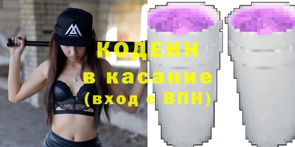 шишки Арсеньев
