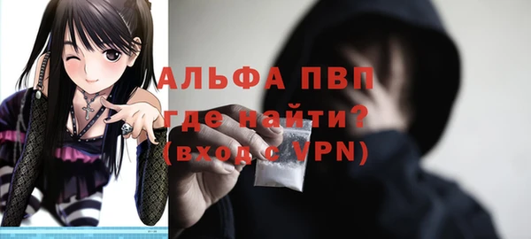 шишки Арсеньев