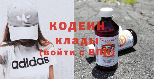 шишки Арсеньев