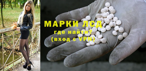 шишки Арсеньев