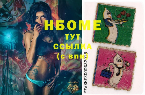 шишки Арсеньев