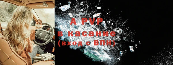 шишки Арсеньев